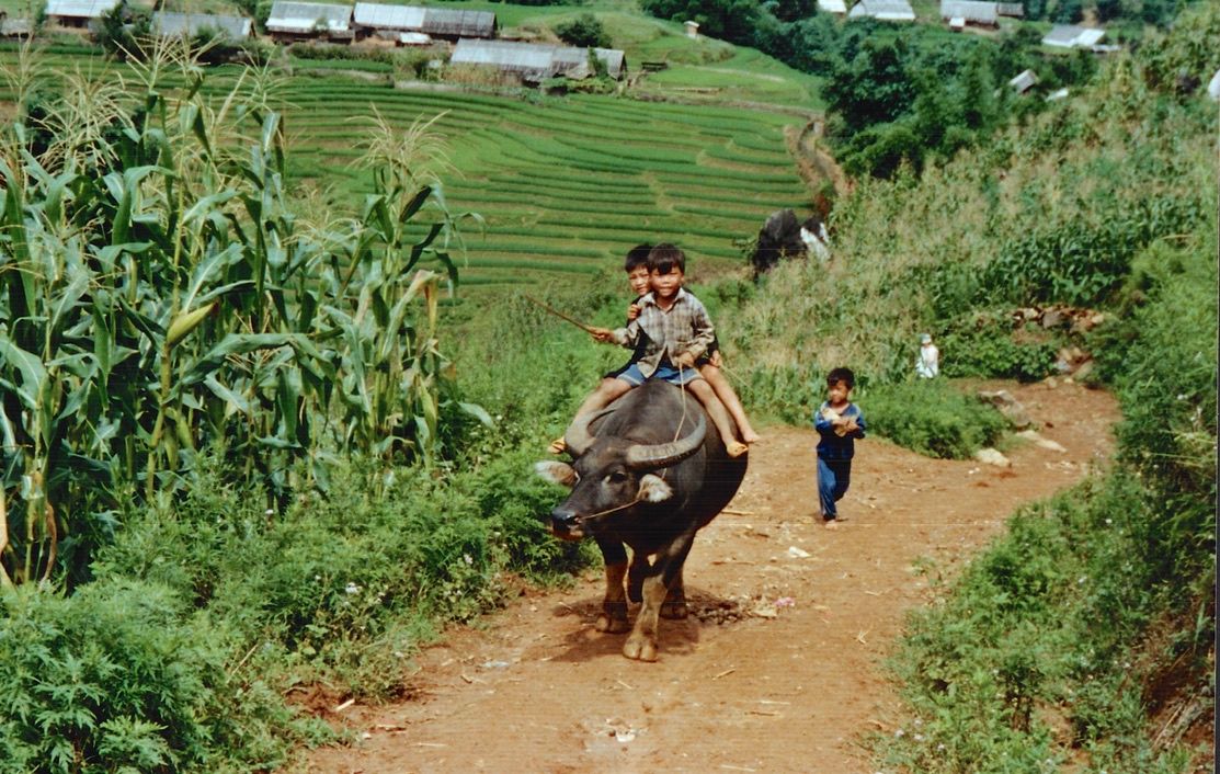 One of my earliest photos of a rice terrace from the Sa Pa Valley.