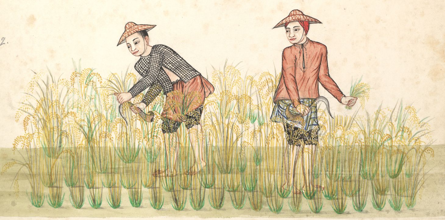 “Organizing the Rice Fields”: Teaching Southeast Asia’s Nineteenth-Century Production Revolution