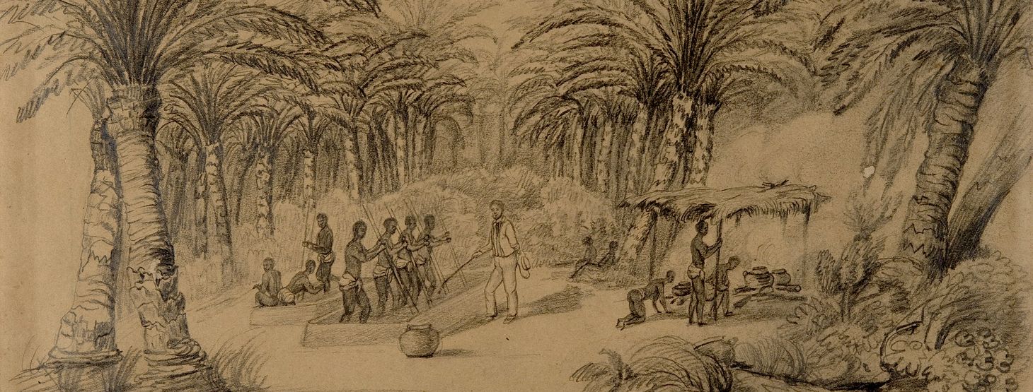“The Increase of Plantations”: Teaching West Africa’s Nineteenth-Century Production Revolution