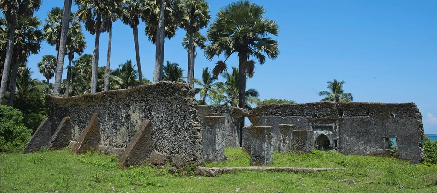“A Mixed Population of Muslims and Zanj”: Teaching East Africa in World History, c.1000 to Present